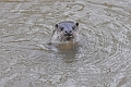 04 01 17_5384_edited-1